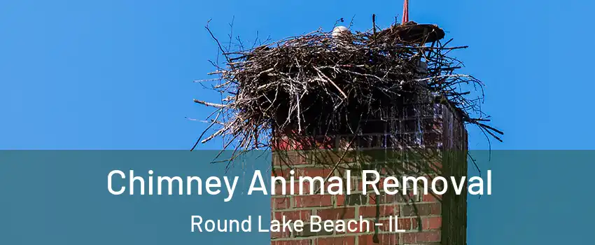 Chimney Animal Removal Round Lake Beach - IL