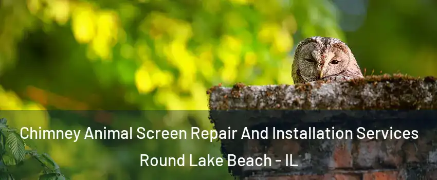 Chimney Animal Screen Repair And Installation Services Round Lake Beach - IL