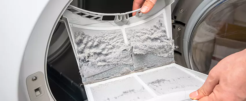 Best Dryer Lint Removal Company in Round Lake Beach, Illinois