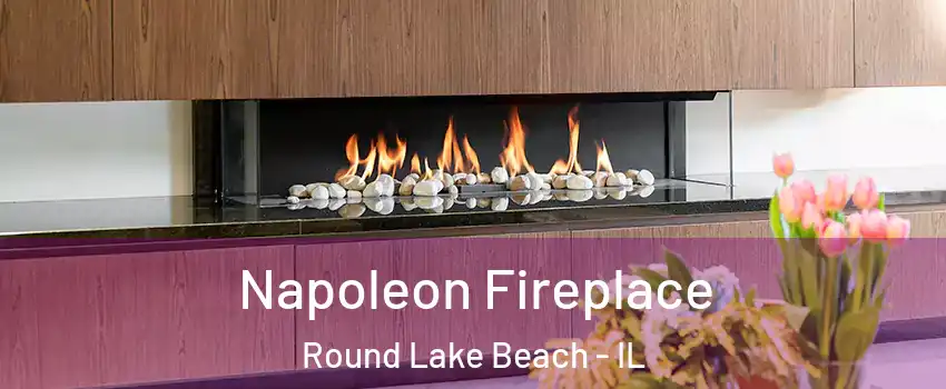  Napoleon Fireplace Round Lake Beach - IL